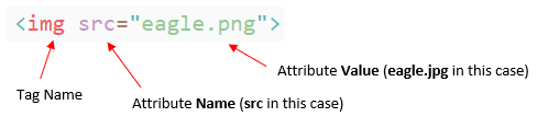 Diagram of an img element with a src attribute